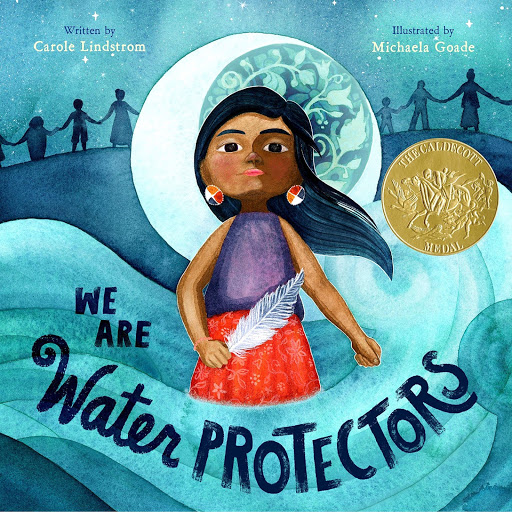 the water protectors book the water protectors book